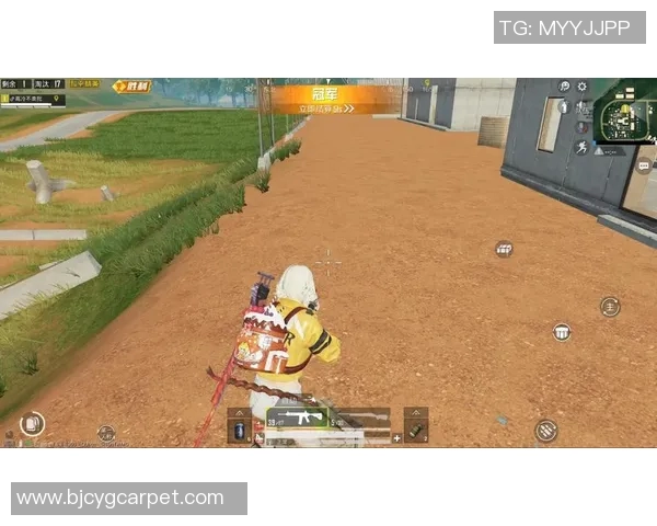 深度探讨黄秀英在和平精英中的成长与人生哲学