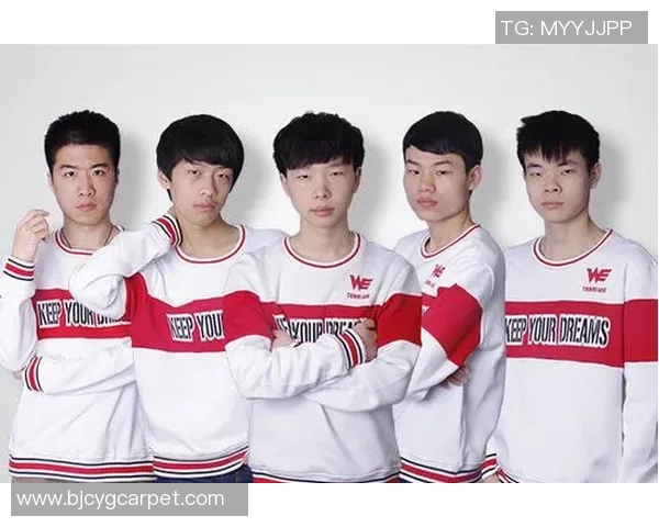 王者荣耀深度分析：探索WE战队在战术灵活性上的独特优势与表现